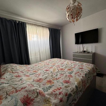 Apartament Alexe エフォリエ・ノルド エクステリア 写真