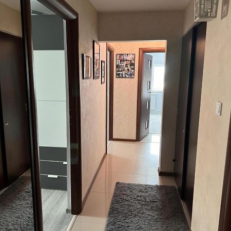 Apartament Alexe エフォリエ・ノルド エクステリア 写真