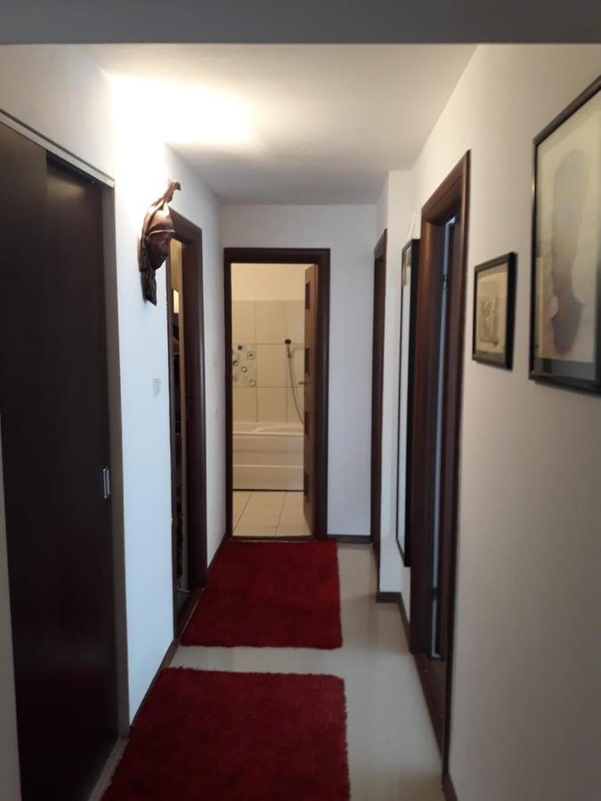 Apartament Alexe エフォリエ・ノルド エクステリア 写真