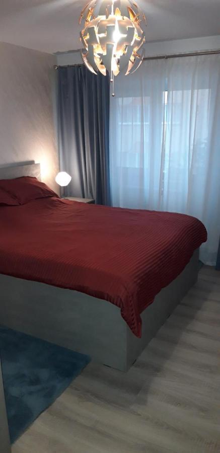 Apartament Alexe エフォリエ・ノルド エクステリア 写真