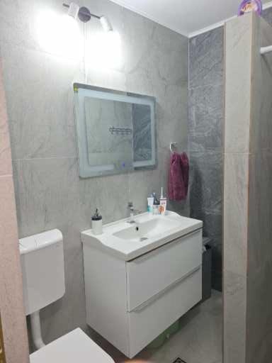 Apartament Alexe エフォリエ・ノルド エクステリア 写真