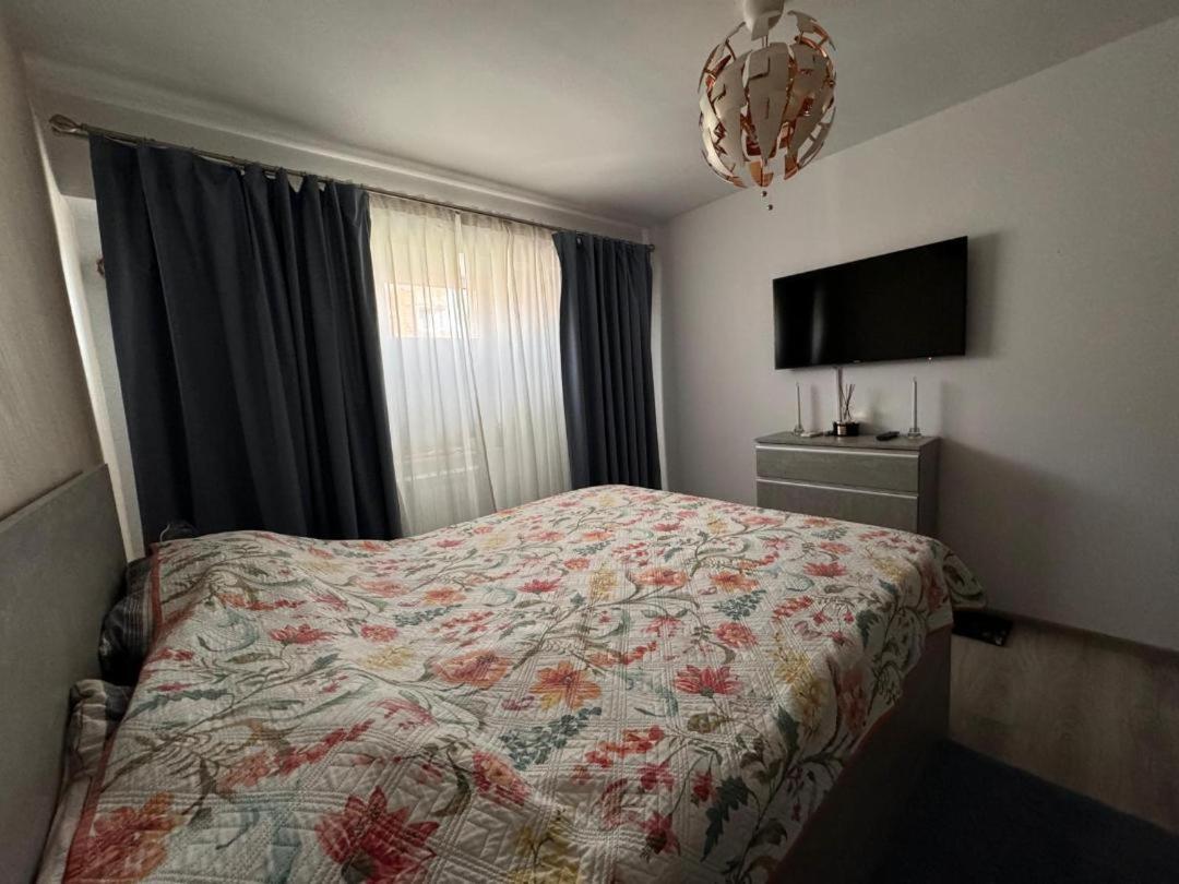 Apartament Alexe エフォリエ・ノルド エクステリア 写真