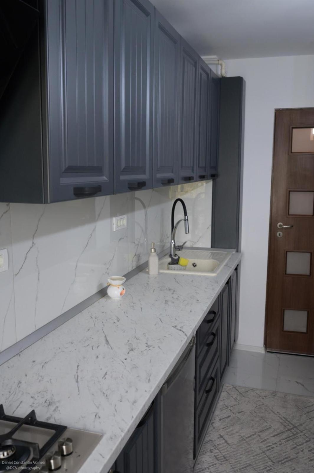 Apartament Alexe エフォリエ・ノルド エクステリア 写真