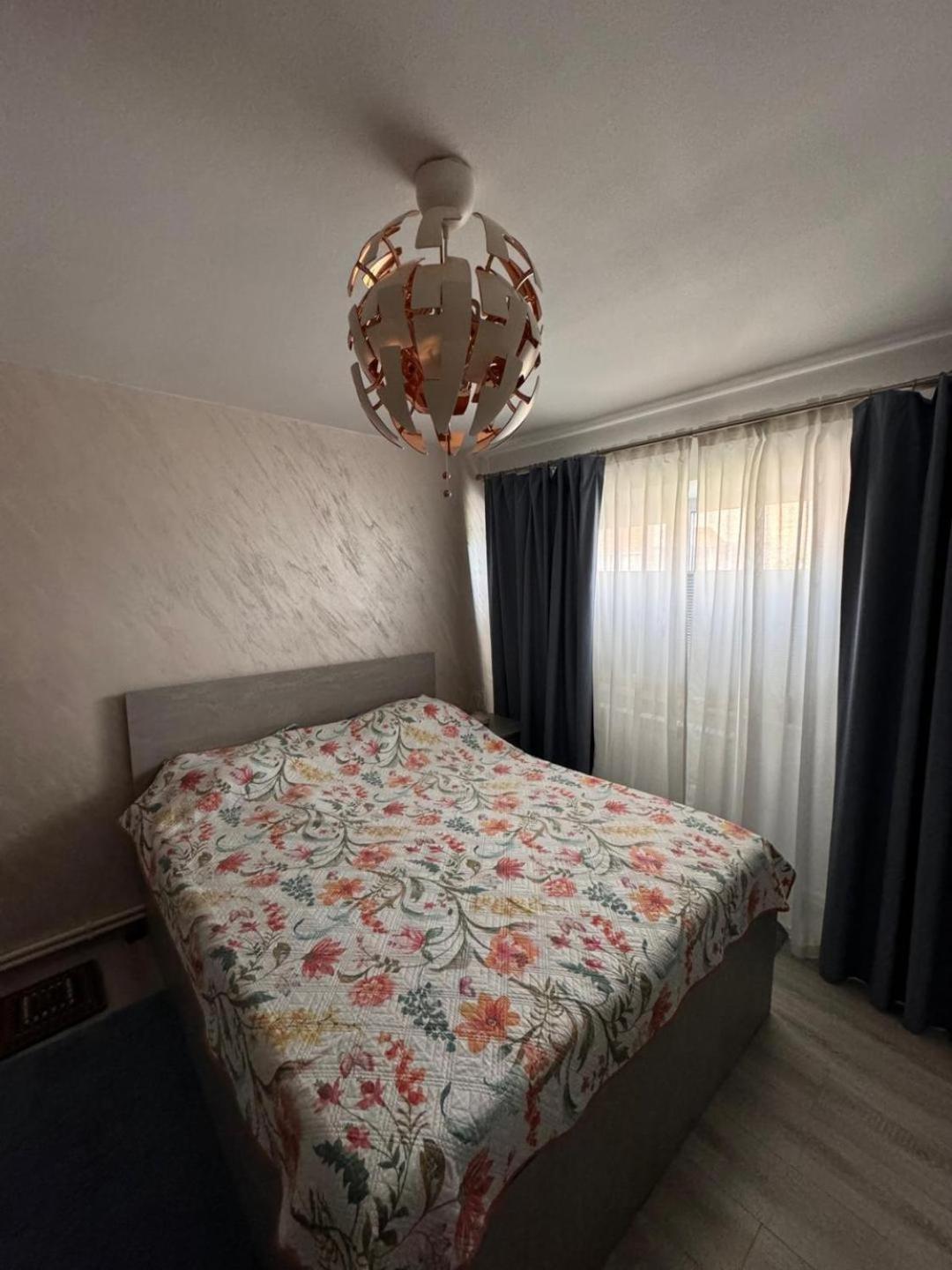 Apartament Alexe エフォリエ・ノルド エクステリア 写真