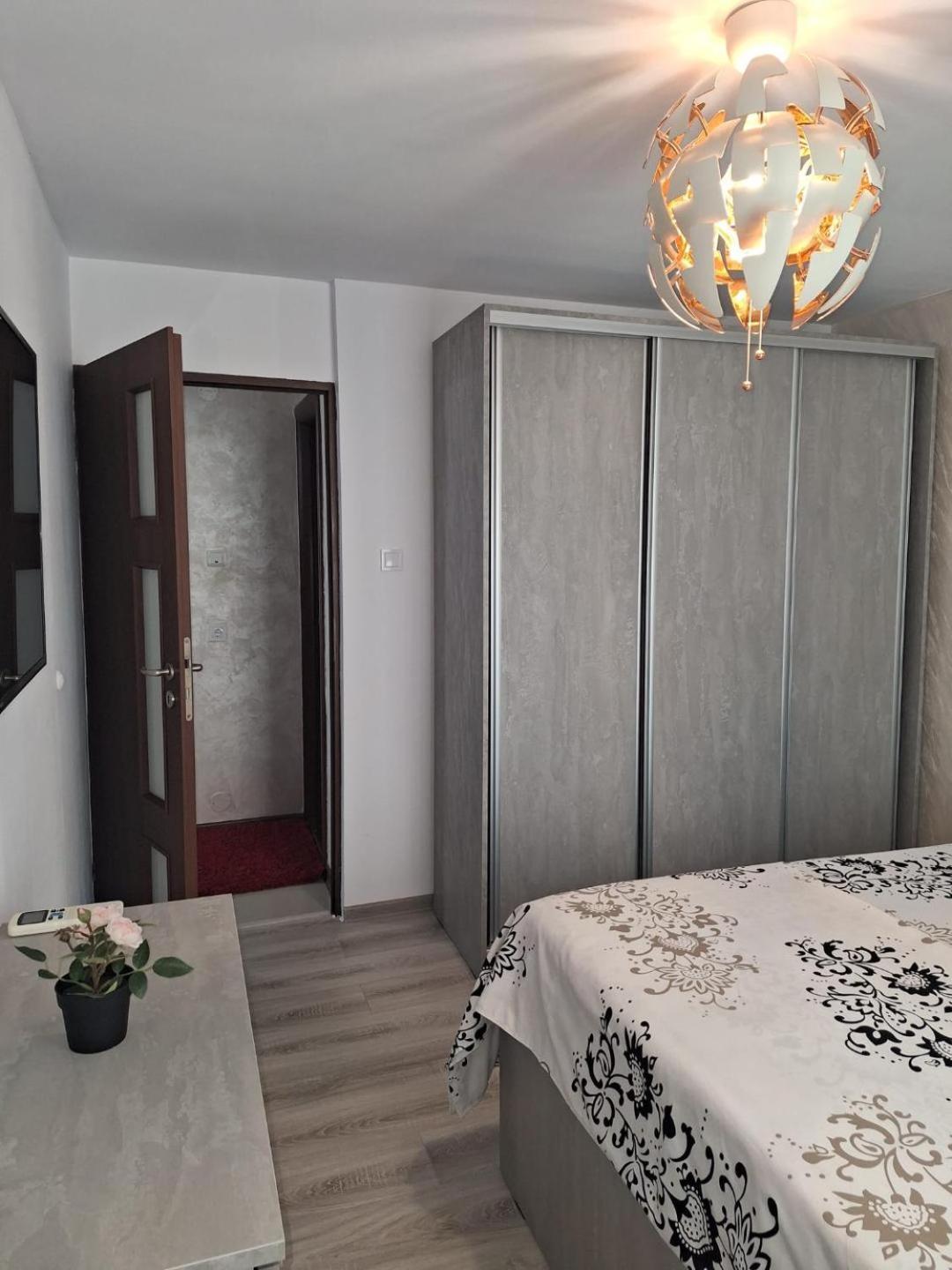 Apartament Alexe エフォリエ・ノルド エクステリア 写真